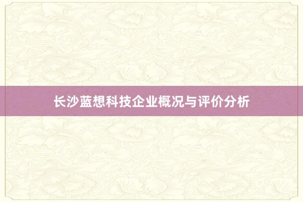 长沙蓝想科技企业概况与评价分析